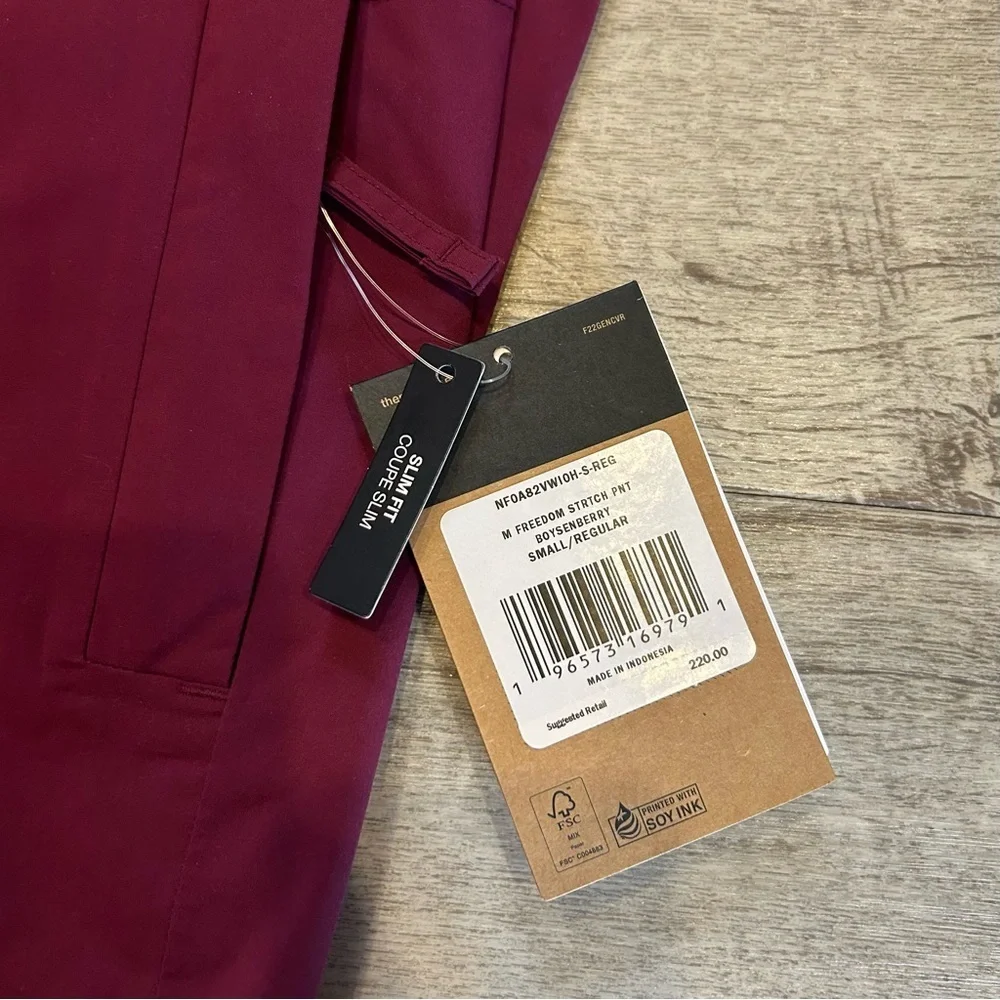 THE NORTH FACE Men's Freedom Stretch Pant, Boysenberry small/regular
